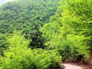 香木河自然保护区