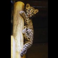 巴黎植物园攻略 巴黎植物园门票价格 巴黎植物园地址 途牛移动站