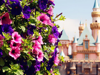 美国加州迪士尼乐园