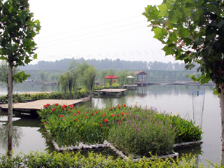 北京芦西园体验观光园