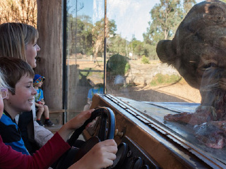 华勒比开放式动物园