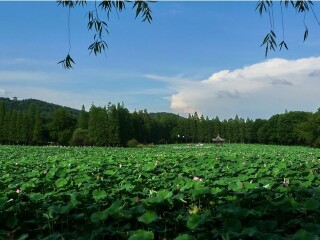 陆奥国民政府湖滨公园