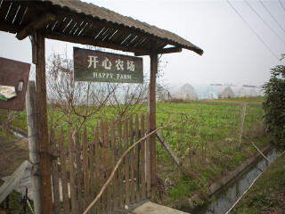 湖州德清杨墩生态休闲农庄