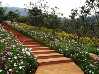 苏州市太湖渔洋山风景区