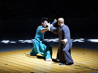 大连武术博物馆太极秀