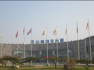 泰山啤酒生肖乐园