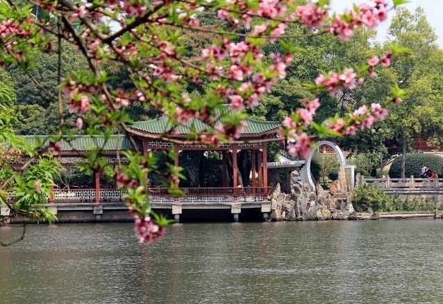 美麗的西湖公園許昌