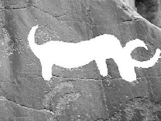 中昆仑野生动物园