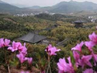 湖州长兴大唐贡茶院