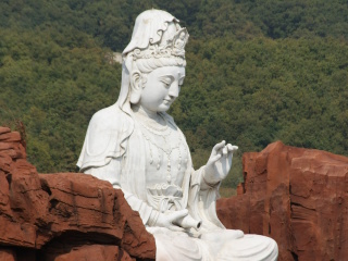 神秘东方菩提界