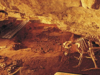 纳拉库特洞穴国家公园