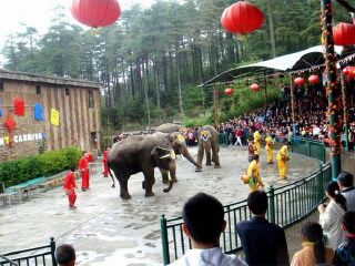 扎佐森林野生动物园