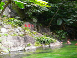 腾冲樱花谷森林温泉风景区