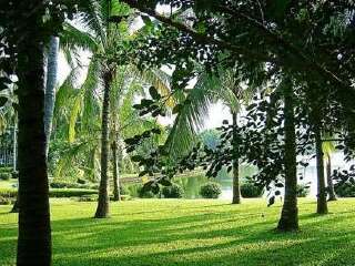 保亭热带植物园