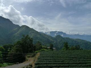 古坑乡华山风景区