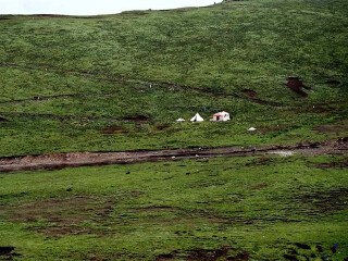都兰国际狩猎场