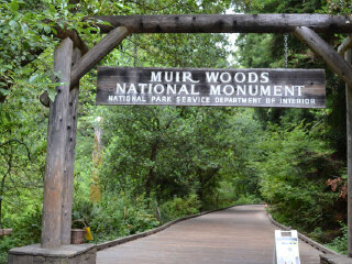 旧金山墨尔红木公园