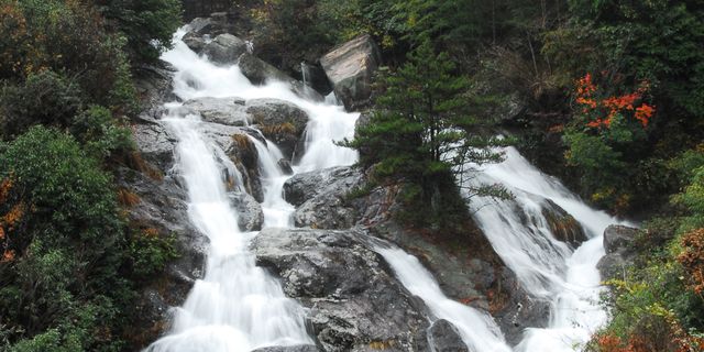 【天目山圖片】臨安市風景圖片_旅遊景點照片_途牛