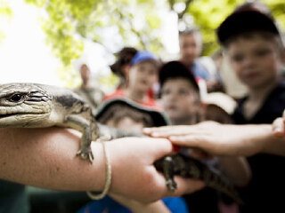 悉尼塔龙加动物园