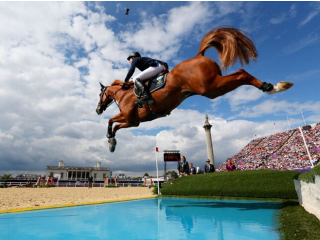 北京逍遥骑士马术俱乐部