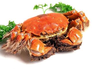 集鲜坊阳澄湖大闸蟹（建湘路店）