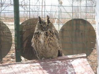 花果山神秘谷风景区