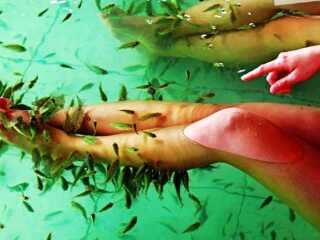 鱼之吻温泉养生馆