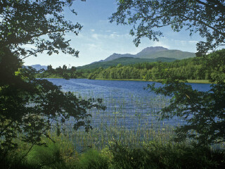 本洛蒙德国家公园