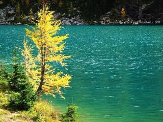 清水湖省级公园