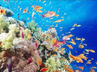 罗源湾海洋世界