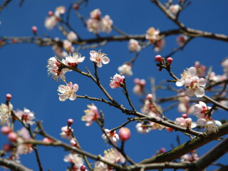 昆明黑龙潭风景区