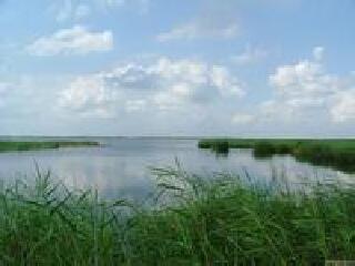 绍马里自然保护区