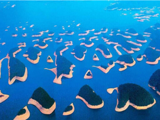 庐山西海观湖岛