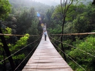 牛山国家森林公园