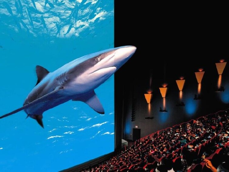 在5d影院,观影者已经不仅仅是观众,而是融入到影片中,成为电影的一