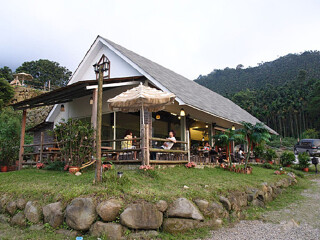 古坑华山咖啡园