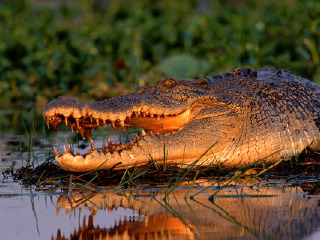 玛丽河国家公园