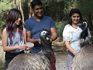 希尔斯维尔野生动物保护区