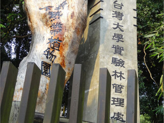 台大热带林标本园