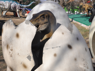 秦岭野生动物园