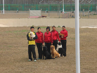 泰州凤城河田园牧歌景区