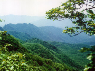 小秦岭