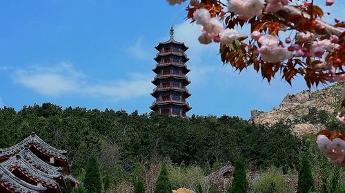  青島-威海-石島赤山-蓬萊2日遊>贈送華夏城