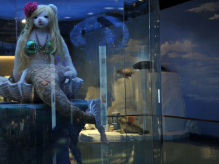 第五届中国马术节