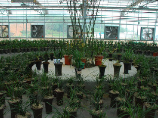 北川维斯特农业示范观光园