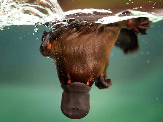 希尔斯维尔野生动物保护区