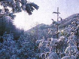 大肚溪水鸟自然公园