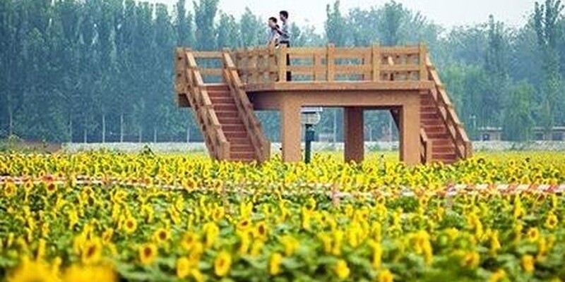 产品图7