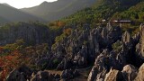 千岛湖石林