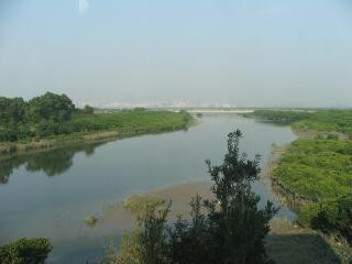 台西乡台西沿海湿地
